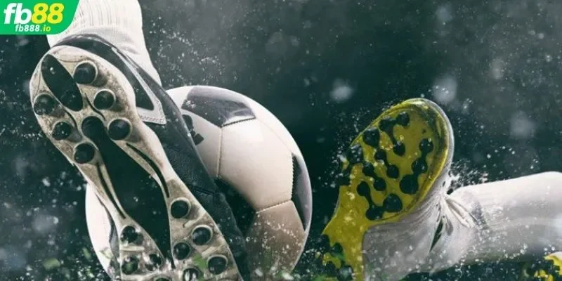 Kinh nghiệm cược Halftime siêu hiệu quả cho người chơi mới